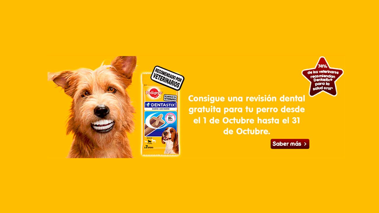 revision dental gratuita perro pedigree