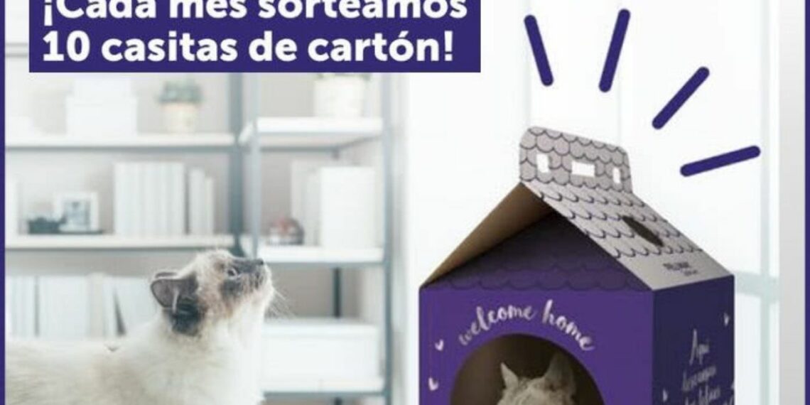 Sorteo mensual de 10 casitas de cartón para gatos