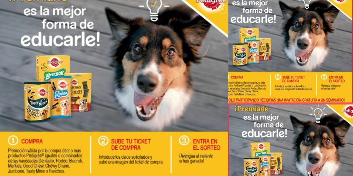 Regalo de 8 sesiones de Educación Canina online con Pedigree