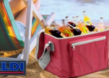 Aldi tiene una bolsa isotérmica perfecta para tus días de playa que arrasa en ventas
