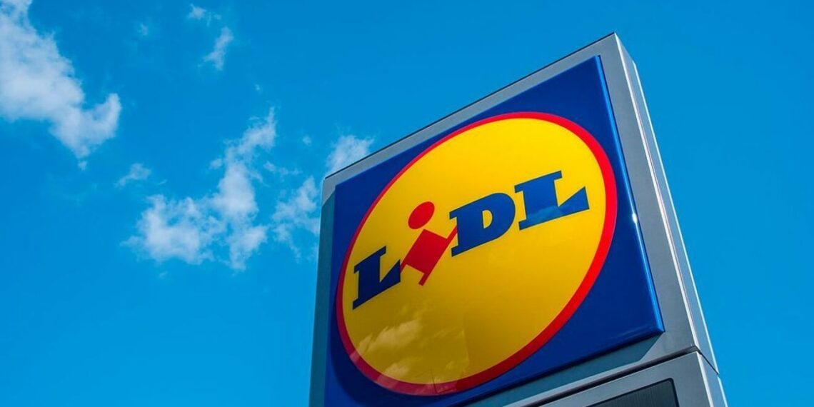 El producto de Lidl que arrasa en ventas por solo 5 euros