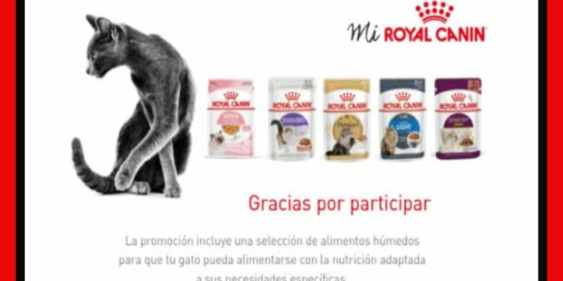 Royal Canin reparte muestras gratis para gatos