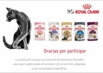 Royal Canin reparte muestras gratis para gatos