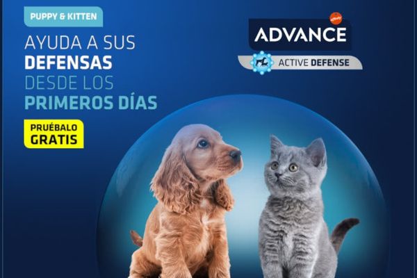 Prueba gratis de Puppy & Kitten de Advance