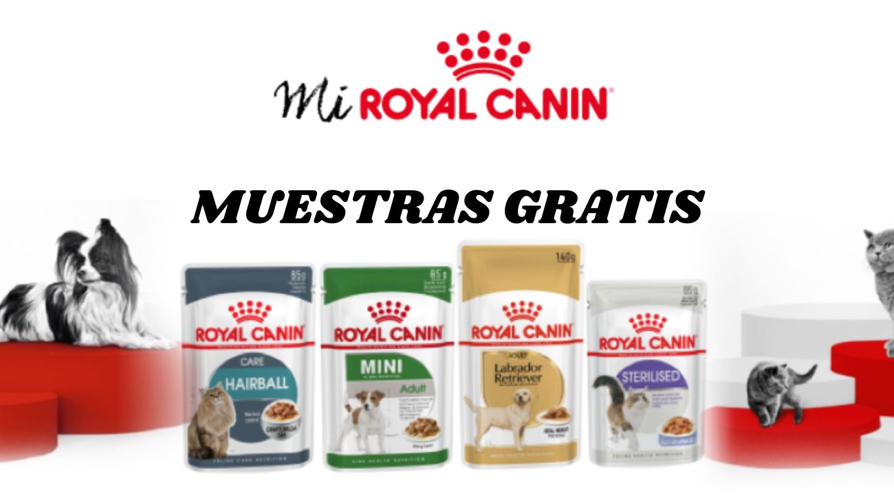 Royal Canin reparte 1.500 muestras gratis de comida para tu mascota
