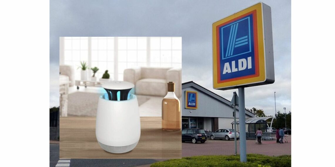 Aldi tiene la lámpara de aspiración que acaba con los insectos en dos modelos por menos de 15 euros