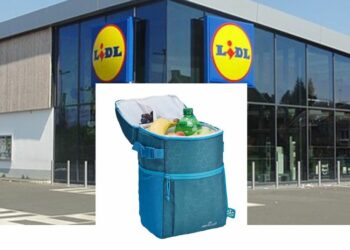 Vuelve el producto estrella de Lidl para verano por menos de 12 euros