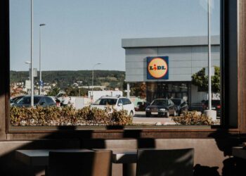 ¡Lidl revoluciona la limpieza! producto efectivo por menos de 15 euros