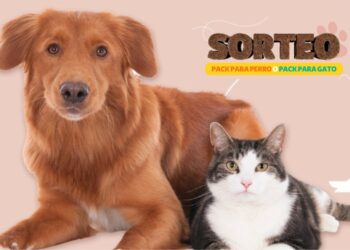 Alcampo lanza un sorteo de productos para perros y gatos