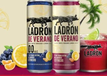 Ladrón de Verano lanza un sorteo de cuatro viajes dobles para disfrutar el verano a lo grande