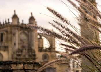 Ayuntamiento de Jerez convoca 43 nuevas plazas de funcionario en diferentes categorías